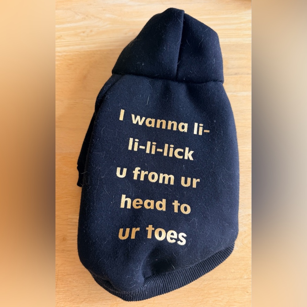🖤 Funny Dog Hoodie – “I wanna li-li-li-lick u…” – Size Small 🖤